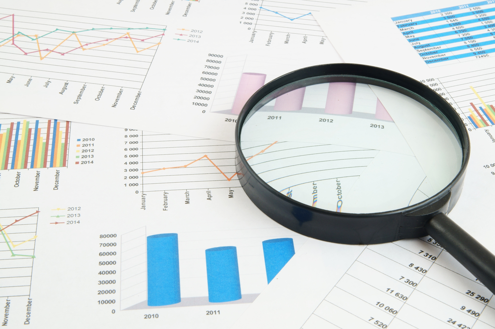 Raportowanie Niefinansowe ESG VSME